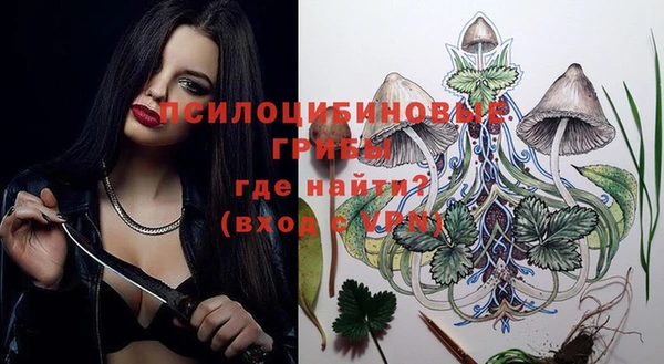 марки lsd Белокуриха