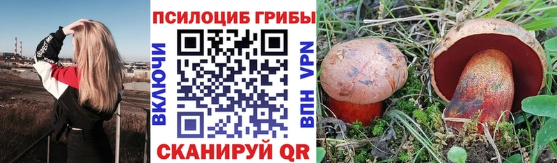 где можно купить наркотик  Няндома  Псилоцибиновые грибы прущие грибы 